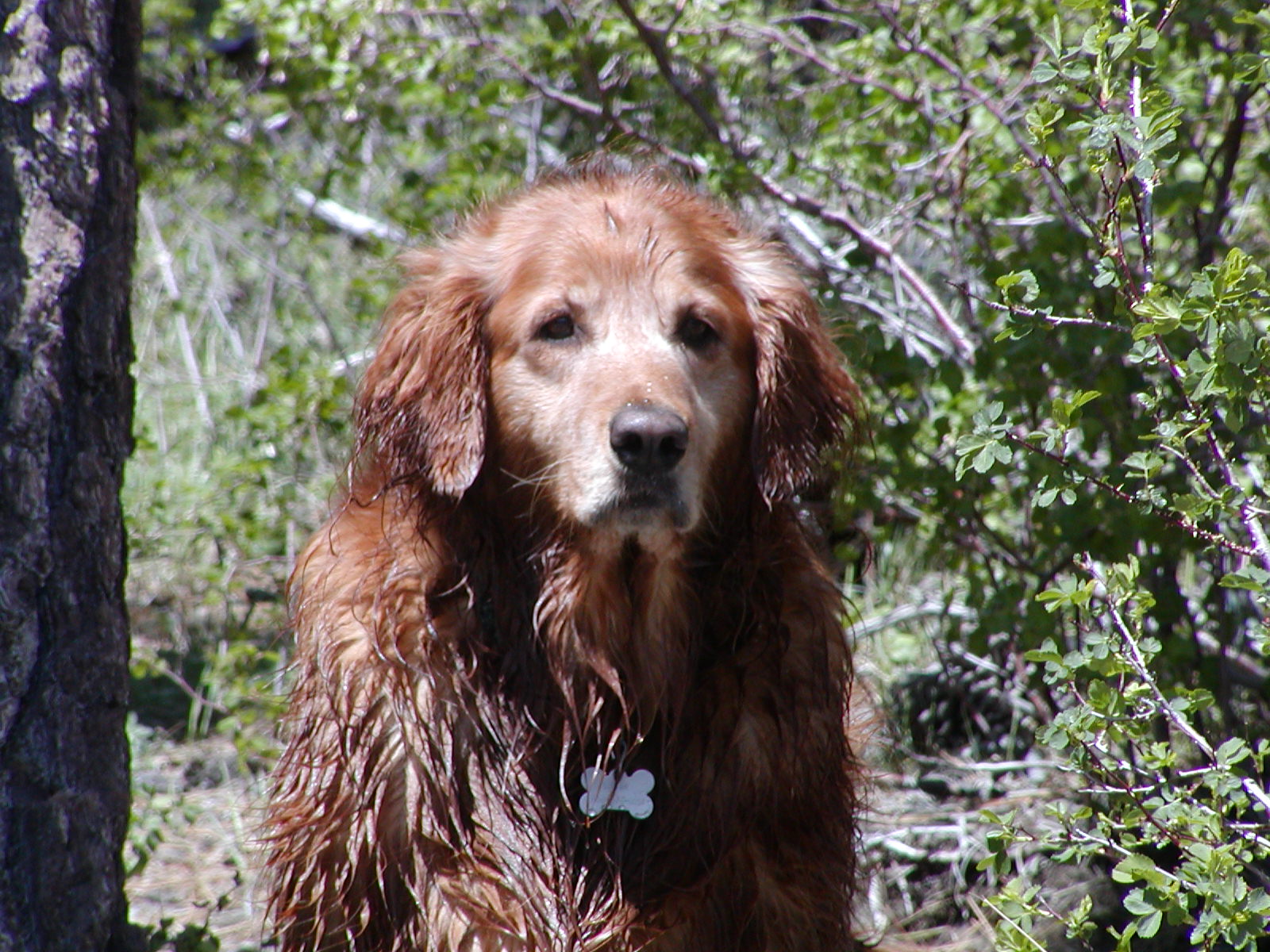 Sugar after a swim